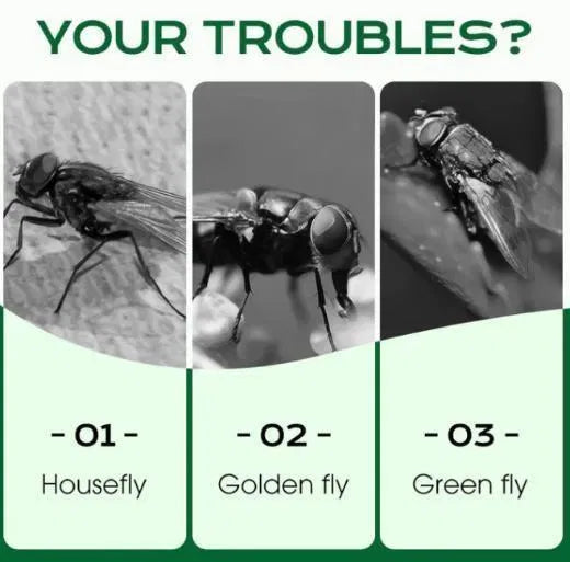 Multi-Scene Fast-Acting Fly Killer (Pack of 1)